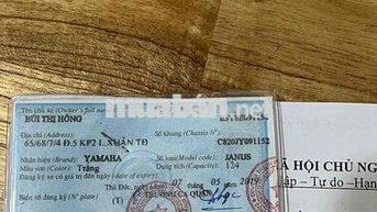Yamaha Janus 2019 Trắng 9291 km