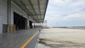Cho Thuê Kho 5.000m² – 10.000m² KCN Thuận Đạo, Bến Lức – PCCC Tự Động
