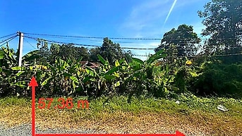 Công ty Đấu giá hợp danh Lam Sơn Sài Gòn thông báo đấu giá tài sản