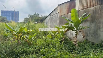 bán 5.798m đất mặt tiền Nguyễn bình giá 40 tỷ