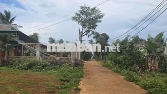 Đất hẻm đường 19/5 Phường Eatam Đăk lăk