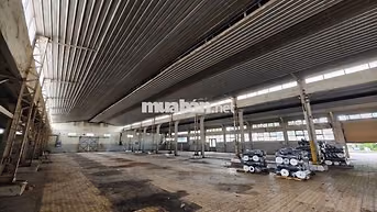 CHO THUÊ KHO MẶT TIỀN ĐƯỜNG TRẦN VĂN DƯ 35X72M CÓ SÂN VÀ VP, PCCC