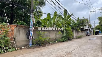 ĐẤT THỔ CƯ 221M2, ĐƯỜNG 8M, VĨNH LỘC B BÌNH CHÁNH