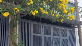 Cho thuê nhà hẻm xe hơi xã Bình Hưng, Bình Chánh, TP.HCM
