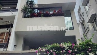 Cho thuê nhà 730/5 Lạc Long Quân, Phường 9, Tân Bình
