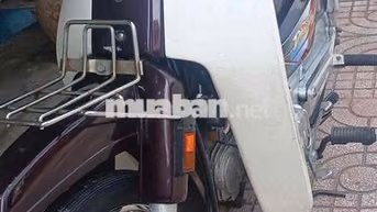 Honda Dream Super Trắng, Nâu