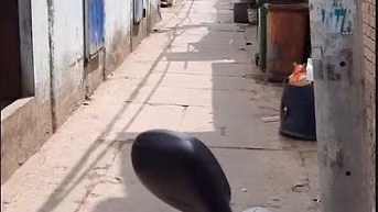 BÁN NHÀ TÂN TÚC, BÌNH CHÁNH - ĐẤT THỰC TẾ VUÔNG VỨC 65,5 m2