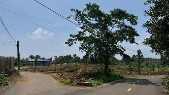 BÁN NHANH LÔ ĐẤT NÔNG NGHIỆP 6 SÀO VỊ TRÍ CỰC ĐẸP TẠI KIM LONG , BRVT
