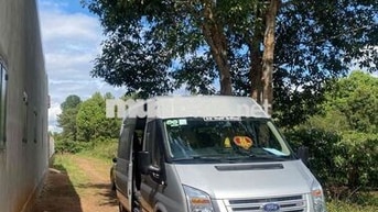 Xe khách Ford Transit 16 chỗ Bạc