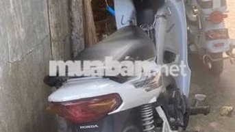 Honda Wave Aple 2023 Trắng