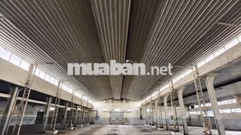Kho 2500m2 - Trần Văn Dư Tân Bình