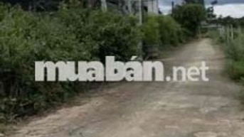 Chính chủ cần bán gấp đất Châu Pha