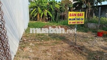 ĐẤT 100% THỔ CƯ. TẠI SƠN ĐÔNG - BẾN TRE- BÁN GIÁ TỐT CHO AI THIỆN CHÍ
