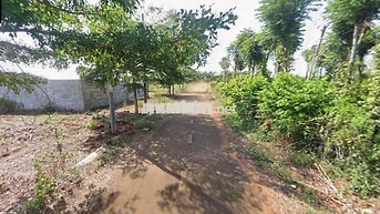 CHÍNH CHỦ CẦN BÁN ĐẤT SÔNG XOÀI CÙ BỊ