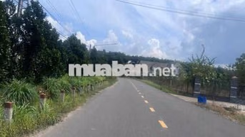 SANG 5 SÀO ĐẤT NGỘP SẴN TRONG TUẦN