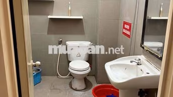 Cho thuê phòng trọ mặt tiền đường quang trung gò vấp