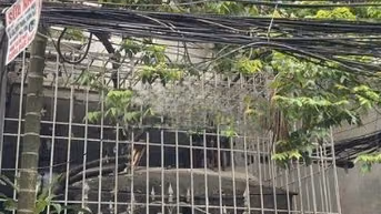 Cho thuê nhà mặt ngõ phố Hào Nam, cách mặt phố 15m, tiện mở VP, spa