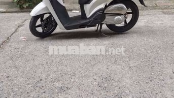 Honda SH Trắng