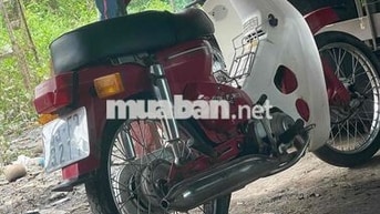 Honda Cub Cổ điển Đỏ Trắng