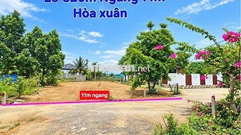 🌎Giá chỉ 1tỷ650/ Lô--CỤM 3 LÔ LIỀN KỀ khu Chợ Đầu Mối Hòa Xuân 🌎
