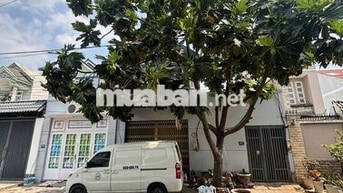 Chính Chủ Bán Đất 12x 25m tại Tân Phong- Giá 8.2 tỷ