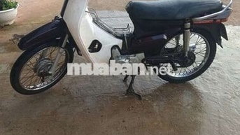 Honda Wave Alpha 2024 Trắng Nâu