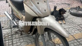 SYM Wave Vàng cát Xe số
