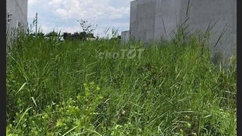 Đất nền khu dân cư  ở long cang 