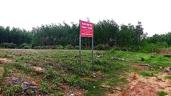 Công ty Đấu giá hợp danh Lam Sơn Sài Gòn thông báo đấu giá tài sản