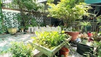 cho thuê nhà sân vườn lộ ô tô Huỳnh Phan Hộ
