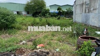 CHÍNH CHỦ - Bán Đất Hẻm APĐ 25 , 79m2, Giá: 3T9 - Thương Lượng