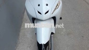 Wave @ 100cc