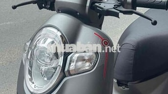 Honda Scoopy 2019 Thái Lan Xám