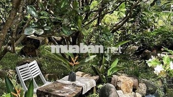 Bán đất sào Long Khánh - Đồng Nai