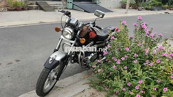Rebel USA 170cc 2009 Đỏ-Đen