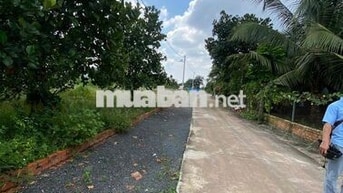 Chủ Cần Tiền Sang Lại miếng Đất P Chơn Thành TP Đồng Nai 350tr