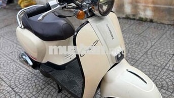Crea 50cc biển 43 ❤️