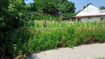CẦN BÁN MẢNH ĐẤT 150M CHIA LÔ XÃ  THỌ VĂN 