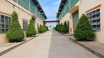 Cho thuê kho xưởng diện tích linh hoạt - Tổng 25.000 m2 - Giá 3 USD/m2
