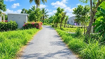 GẤP 2.300m2 giá rẻ PHƯỜNG SƠN QUI, Tp Gò Công, cách HCM 45km, chủ kẹt 