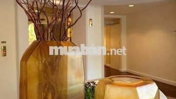 CHO THUÊ NHÀ KHU GÒ DẦU - Dương VĂN DƯƠNG 4 x 16 M ĐÚC 3 LẨU : 4 Pn 