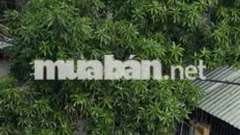Nhà chính chủ cho thuê phòng gần vòng xoay An Lạc