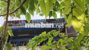 CHO THUÊ NHÀ NGUYÊN CĂN,  ĐƯỜNG VÕ VĂN KIỆT P.7..  QUẬN. 6