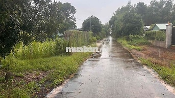 cần bán đất luôn nhà như hình,tổng diện tích đất gần 500m2
