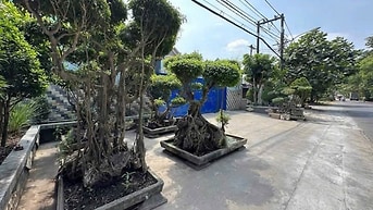 Bán xưởng MT đường Thanh Niên, x.PVH, Bình Chánh: 2866m2, giá 53 tỷ