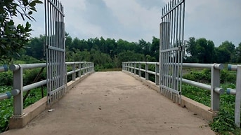 Bán đất 2600m2 thổ cư và CLN mặt tiền ĐT 830 Đức Hòa, Long An 
