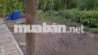 🏡 ĐẤT ĐẸP TRUNG TÂM THỊ TRẤN CẦN GIUỘC – GIÁ TỐT