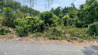 CHÍNH CHỦ BÁN ĐẤT TÂN THÀNH 11 (494.3m2 - THỔ CƯ CAO - ĐẤT RỘNG ĐẸP)