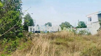 ĐẤT NỀN SẴN SỔ LONG BÌNH, BẾN LỨC
