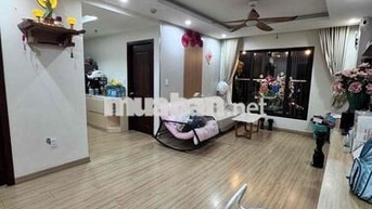 Cho thuê chung cư CT2 Phước Hải